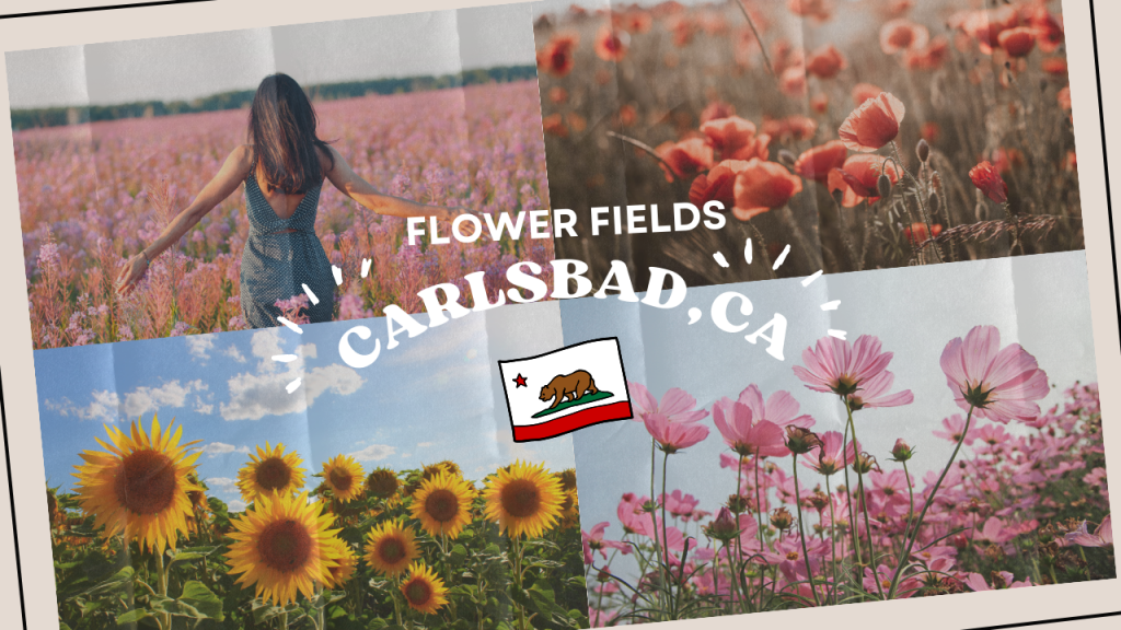 A Blooming Good Time in Carlsbad