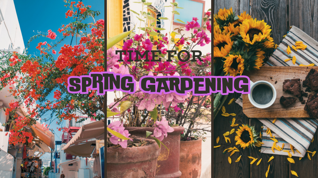 Balcony Gardening Bliss: Bringing Spring to Your 50 sq ft Oasis in California