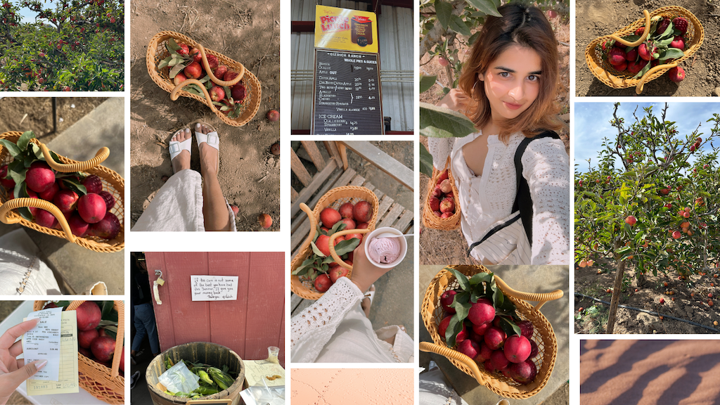 Autumn Bliss: A Day at the Apple Orchard